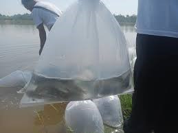 ชุมชนบ้านดอนสวรรค์