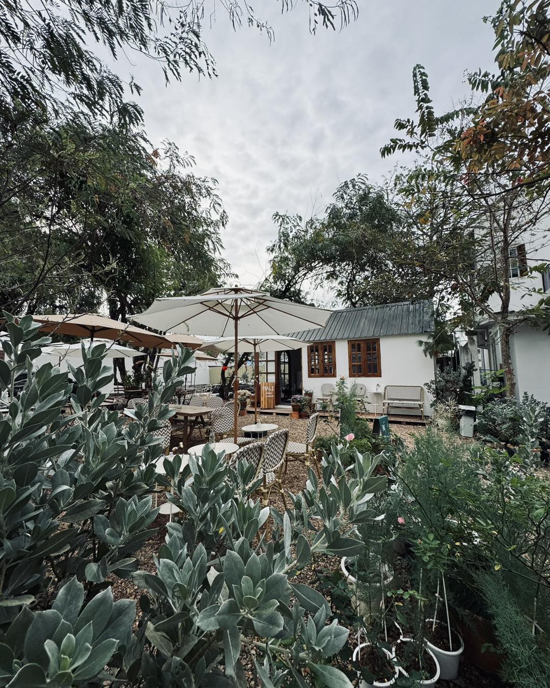 Mali Cakery Homemade