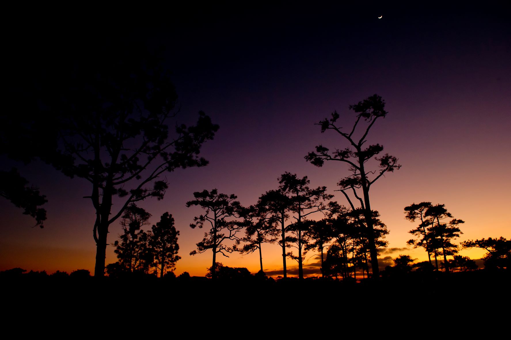 ศูนย์บริการนักท่องเที่ยววังกวาง