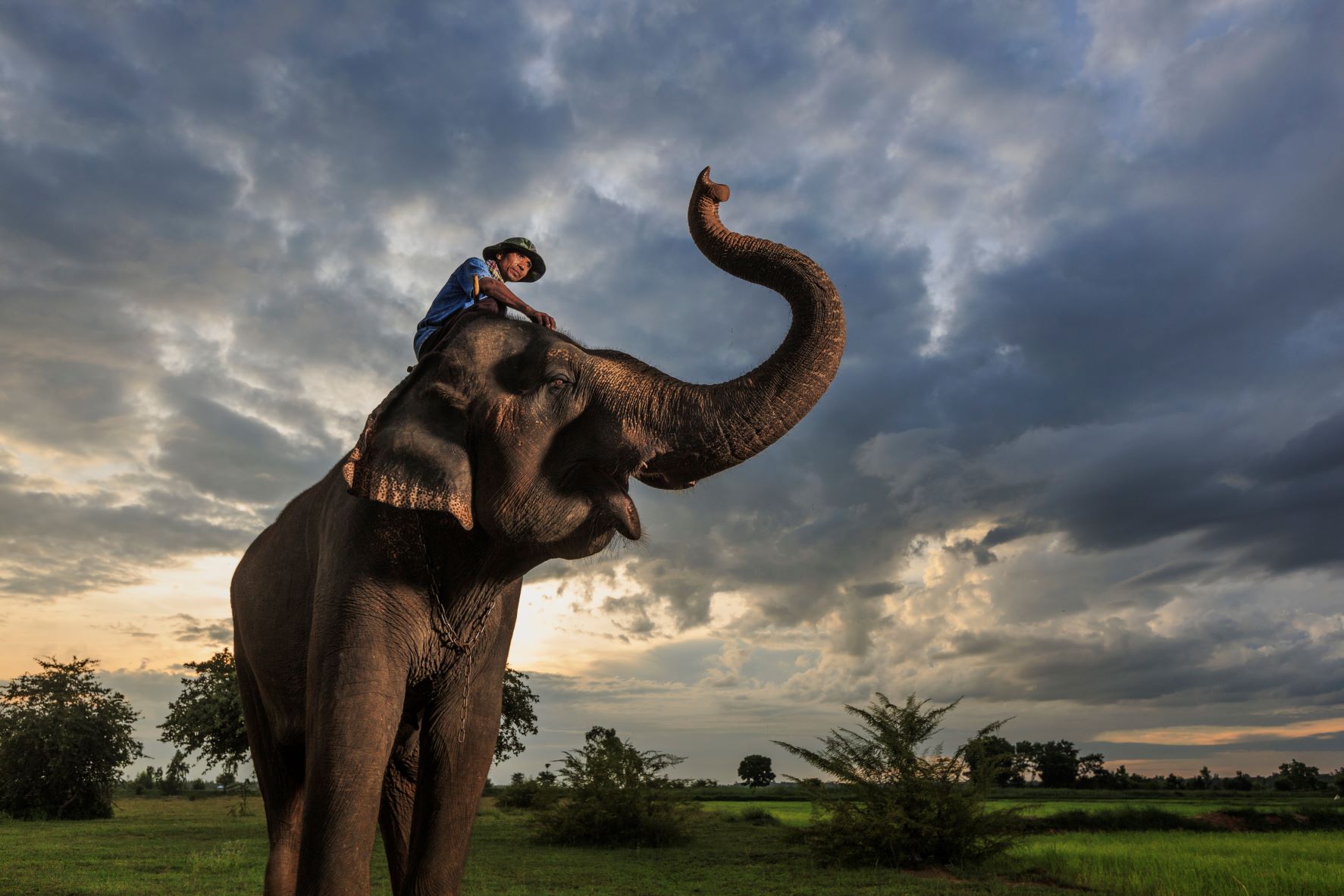 หมู่บ้านช้าง บ้านตากลาง