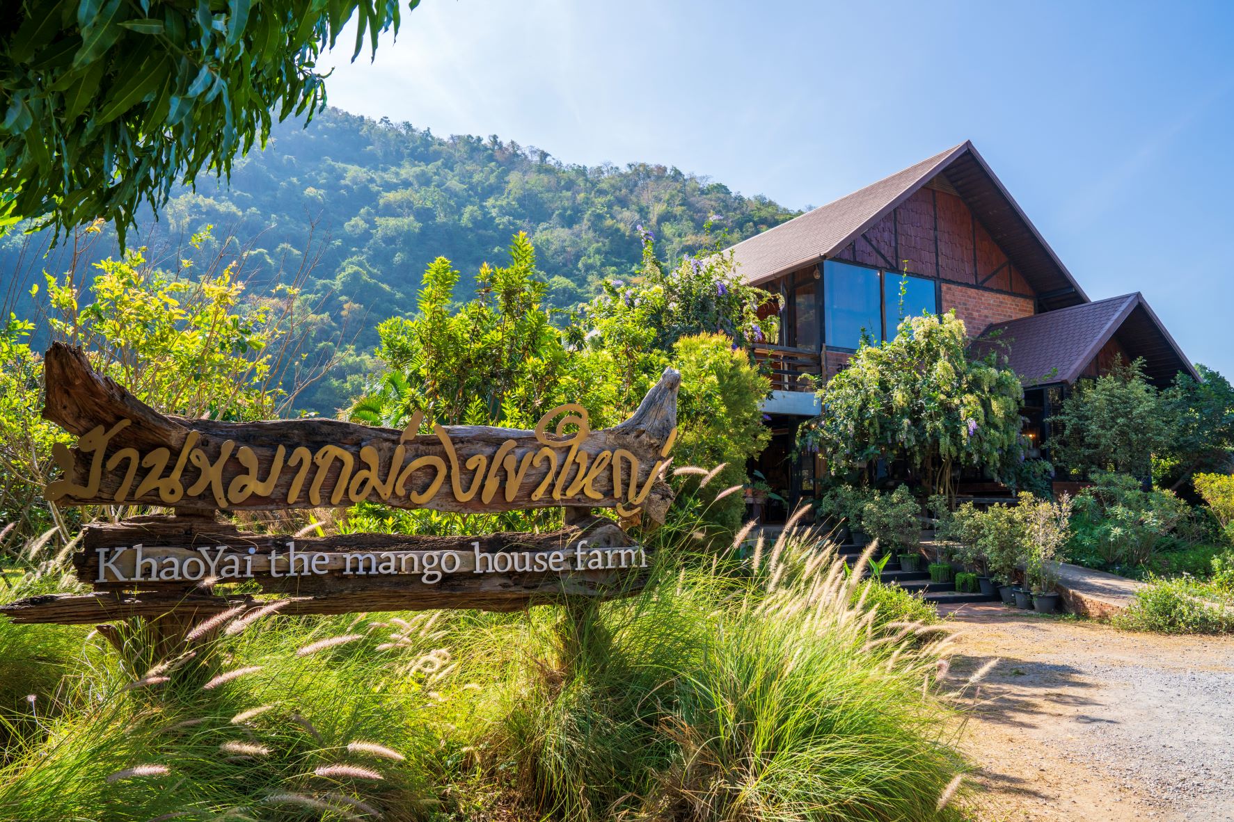 บ้านหมากม่วง