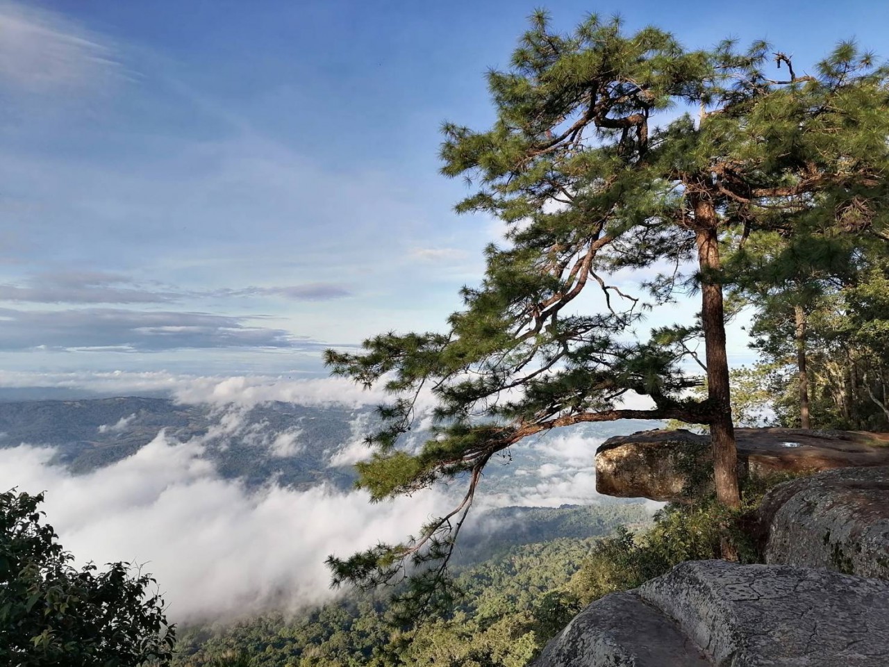 อุทยานแห่งชาติภูกระดึง