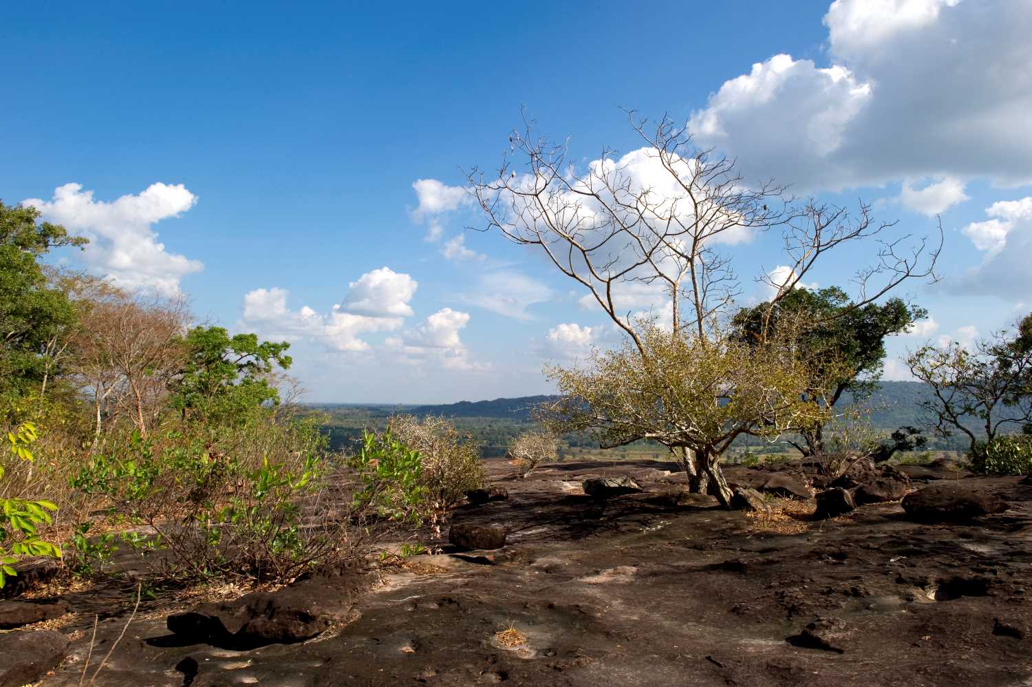 อุทยานแห่งชาติภูสระดอกบัว