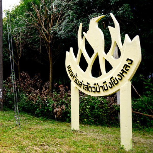 เขตห้ามล่าสัตว์ป่าบึงโขงหลง