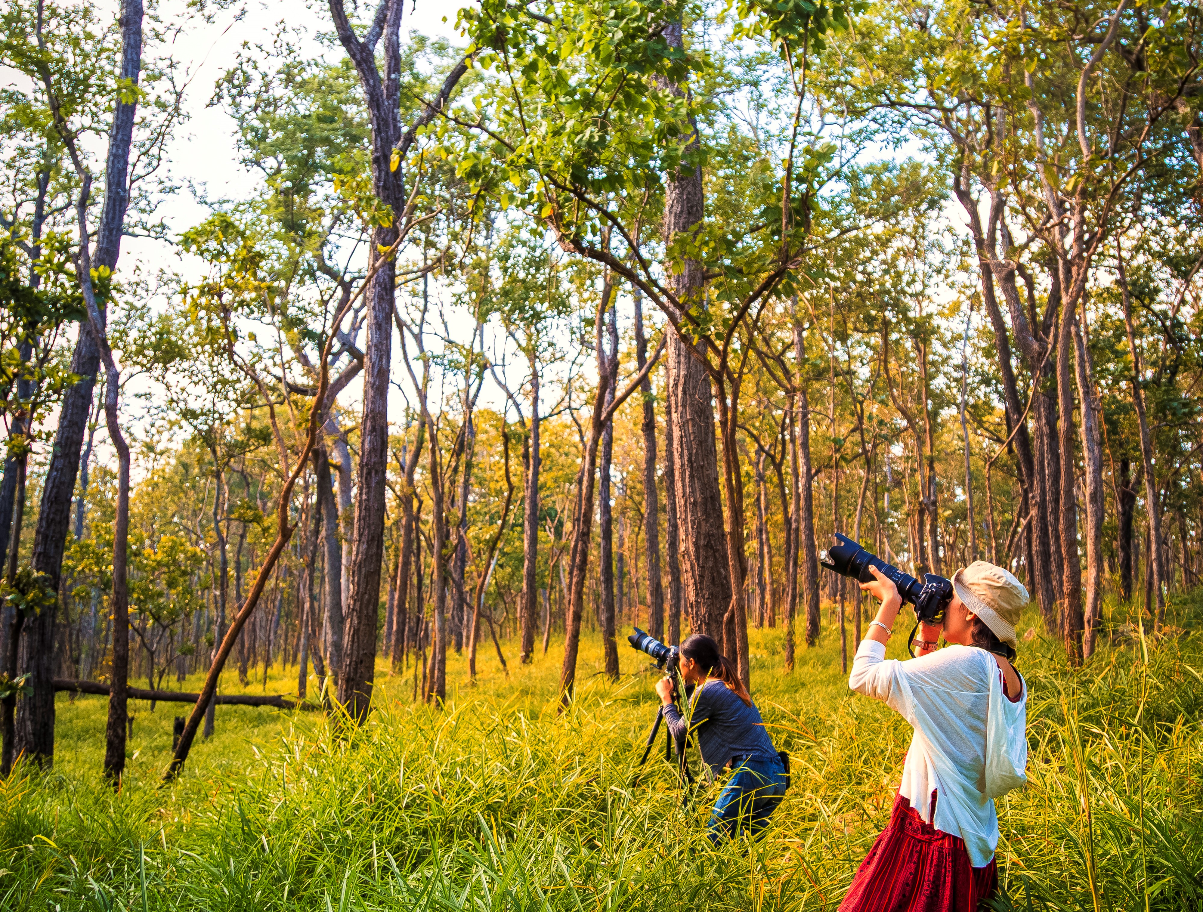 สถานีวิจัยสิ่งแวดล้อม สะแกราช