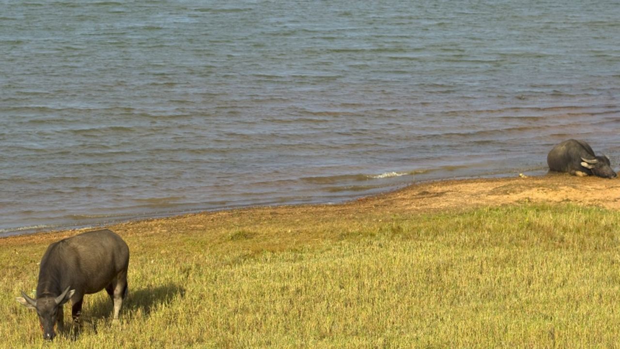 อ่างเก็บน้ำพุทธอุทยาน