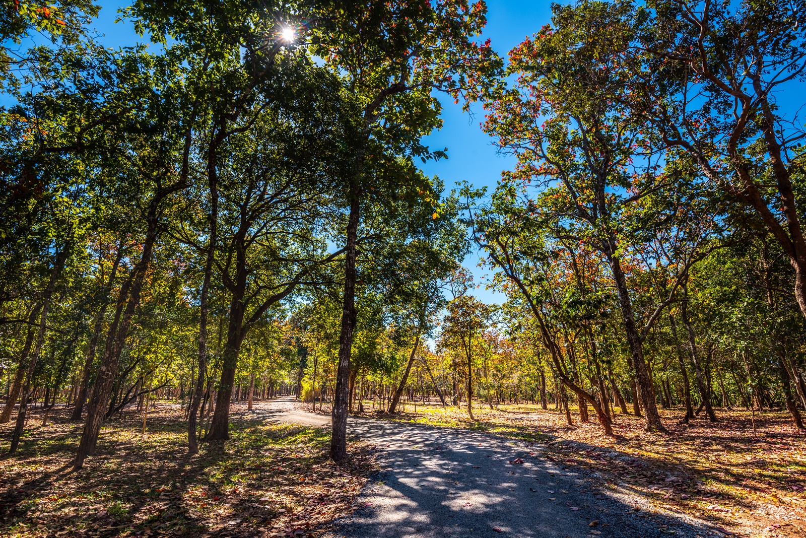 อุทยานแห่งชาติภูพาน