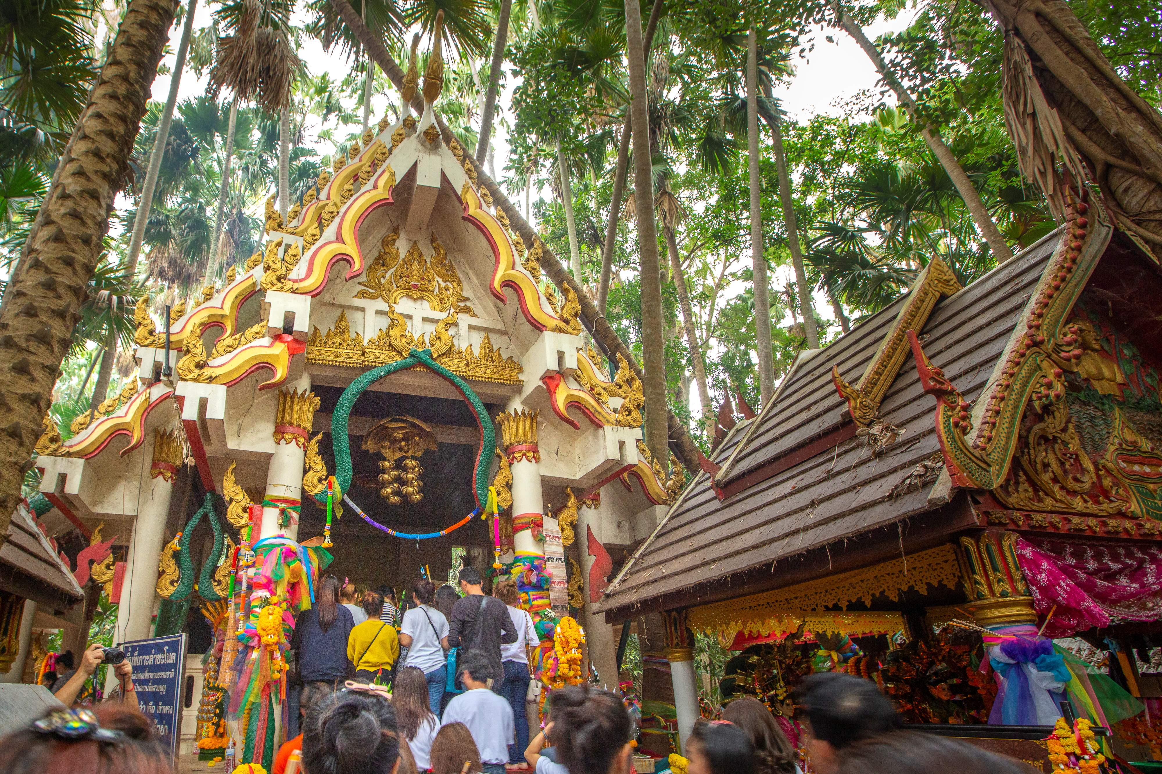 คำชะโนด