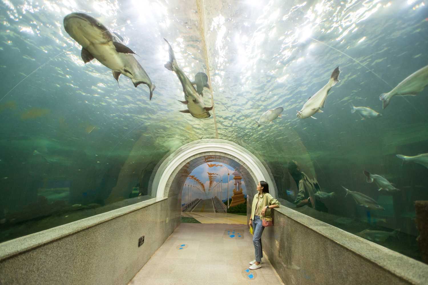 พิพิธภัณฑ์สัตว์น้ำจืด โลกของปลาแม่น้ำโขง