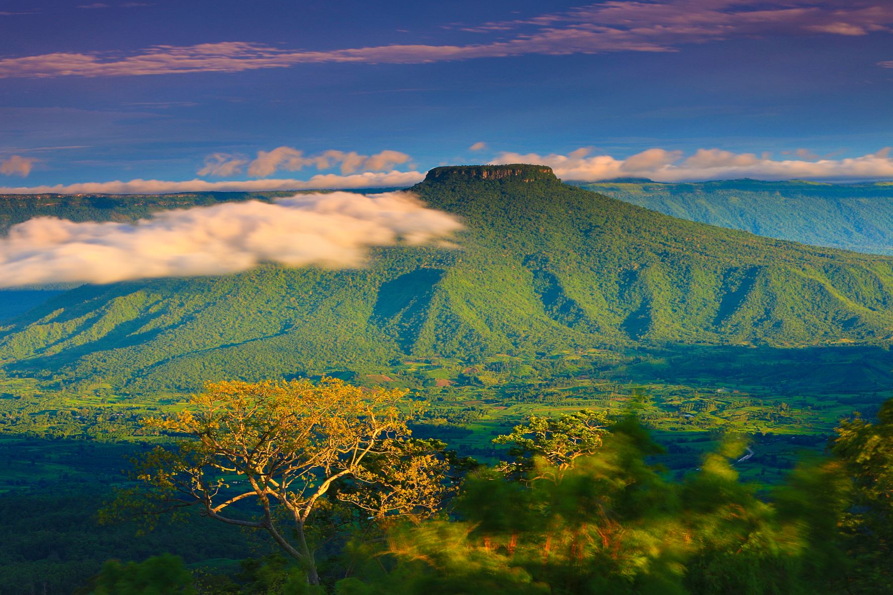 ภูป่าเปาะ ฟูจิเมืองไทย