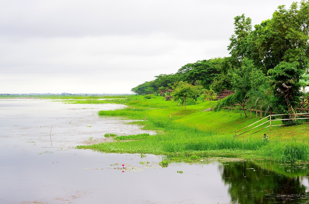 หนองหาร