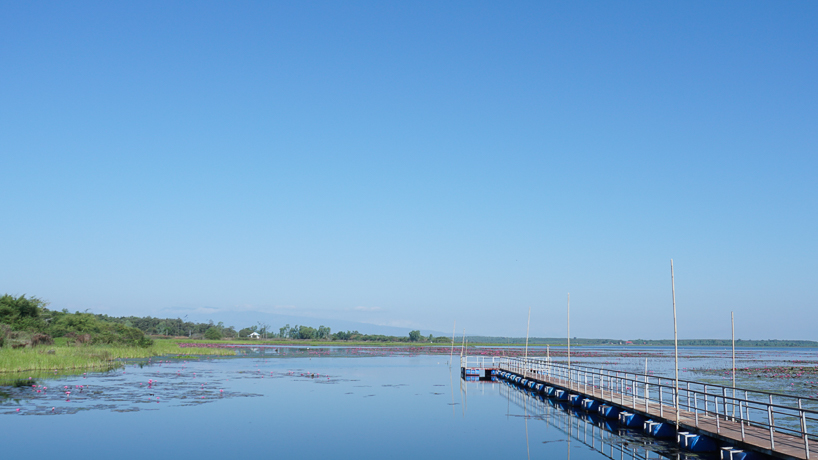 หนองกุดทิงใหญ่