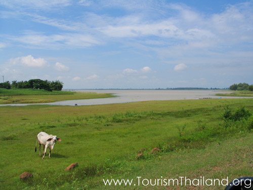 แหลมโนนวิเศษ