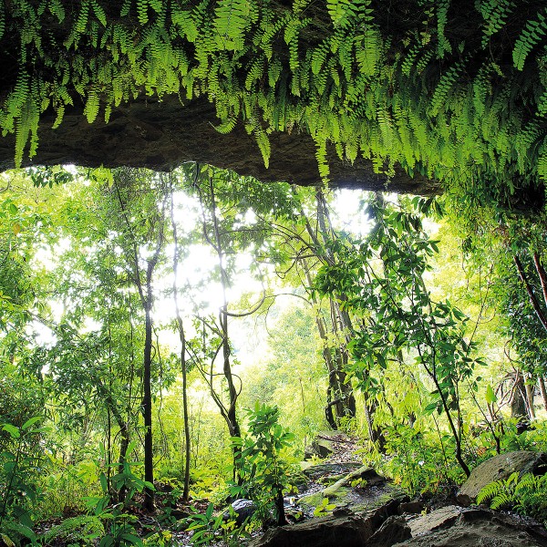 ภาพรอยสลักผาสามพันปีที่ภูผายล