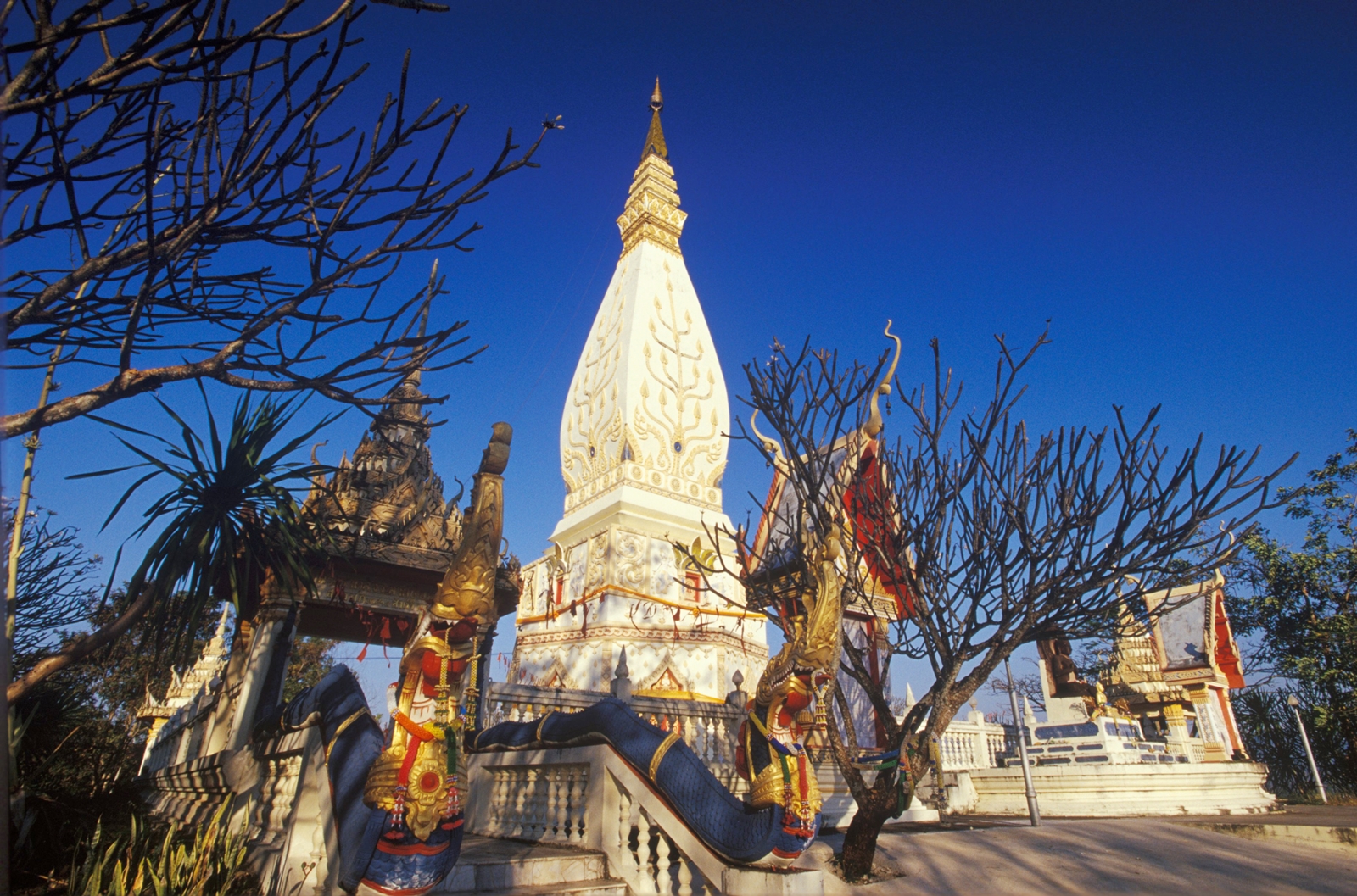 พระธาตุสัจจะ