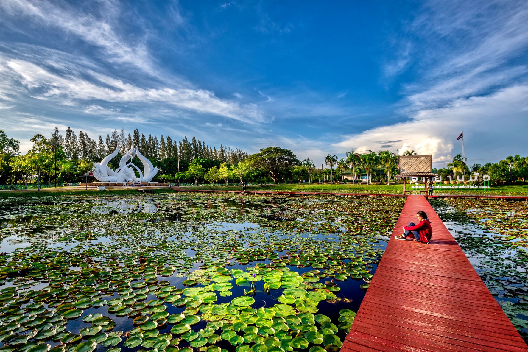 อุทยานบัวเฉลิมพระเกียรติ