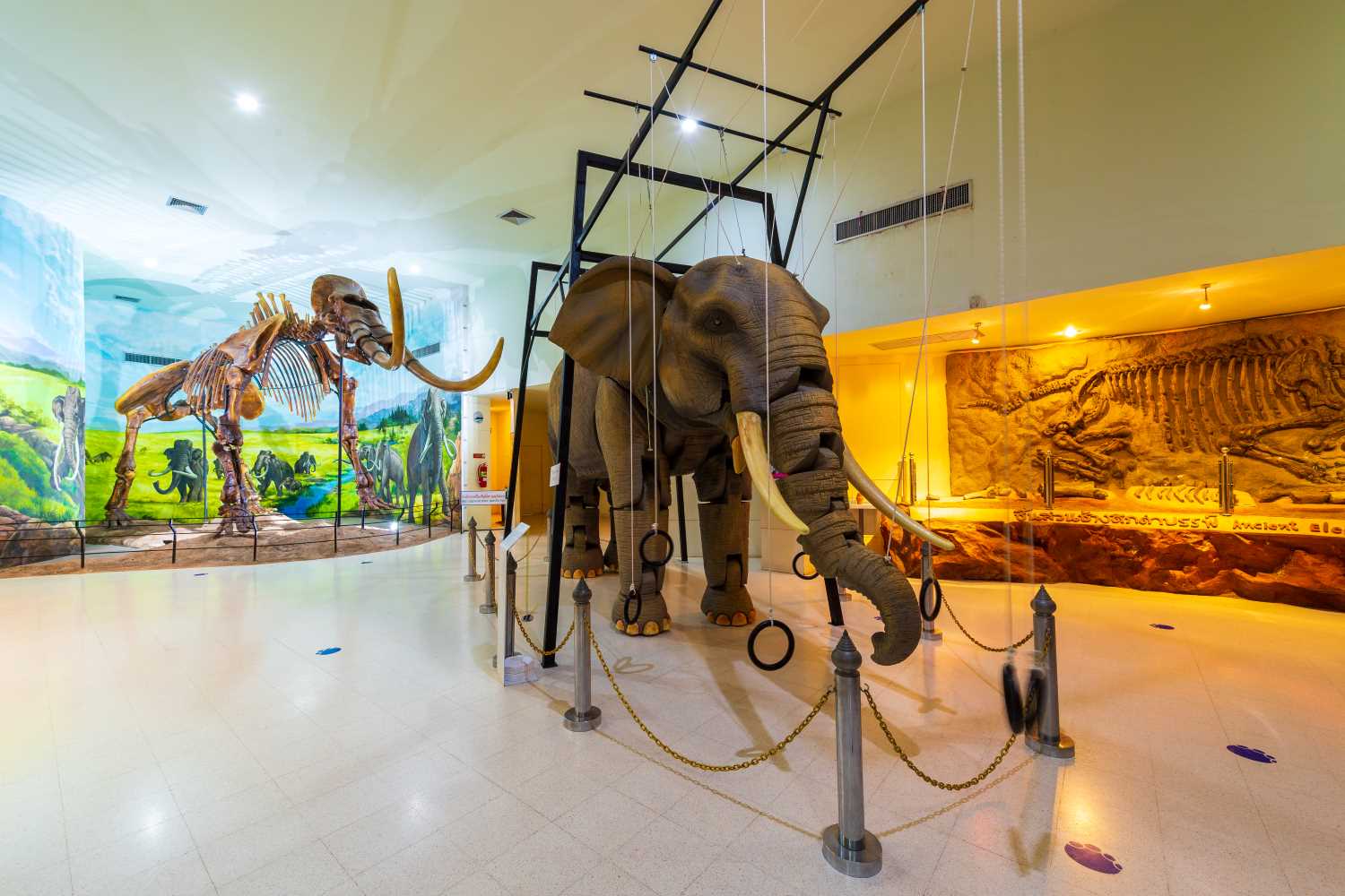 พิพิธภัณฑ์ไม้กลายเป็นหิน ช้างดึกดำบรรพ์ และไดโนเสาร์