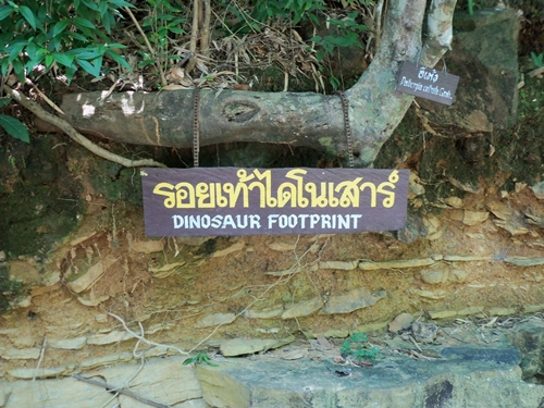 รอยเท้าไดโนเสาร์ วนอุทยานภูแฝก