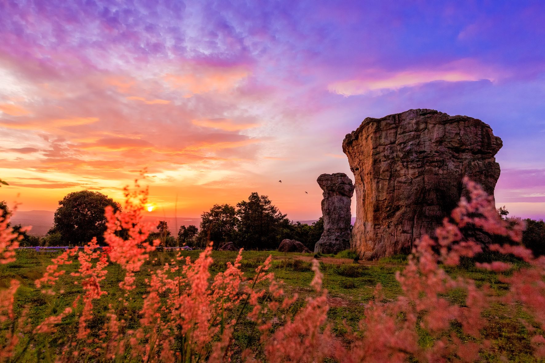 มอหินขาว