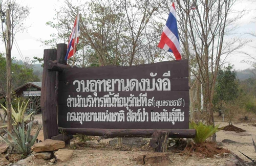 วนอุทยานดงบังอี่