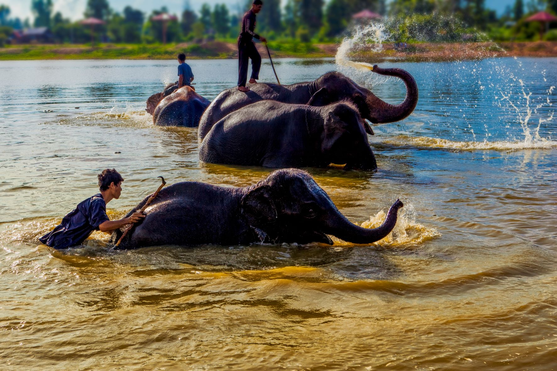 ศูนย์คชศึกษา