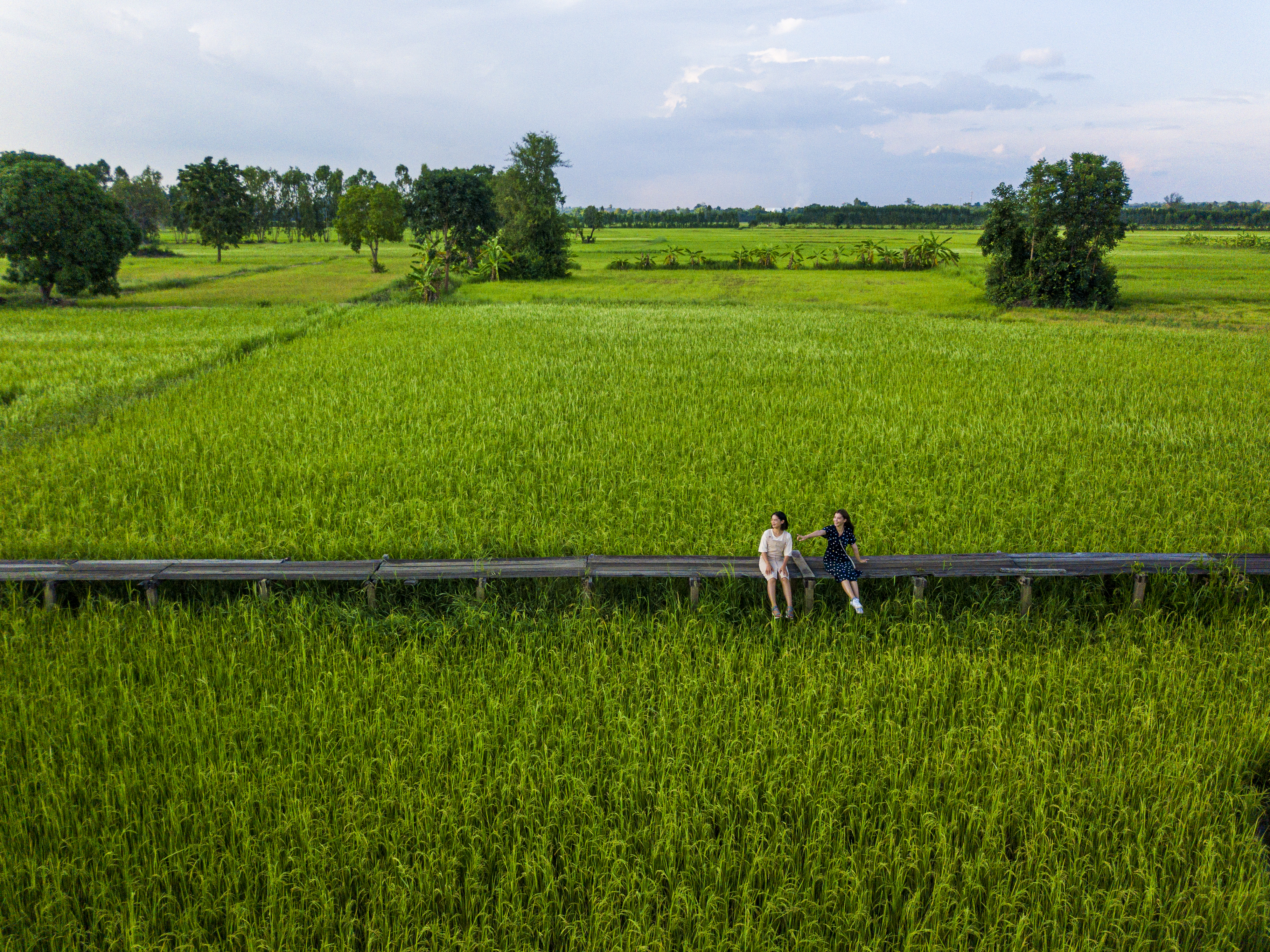 สะพานไม้ 100 ปี