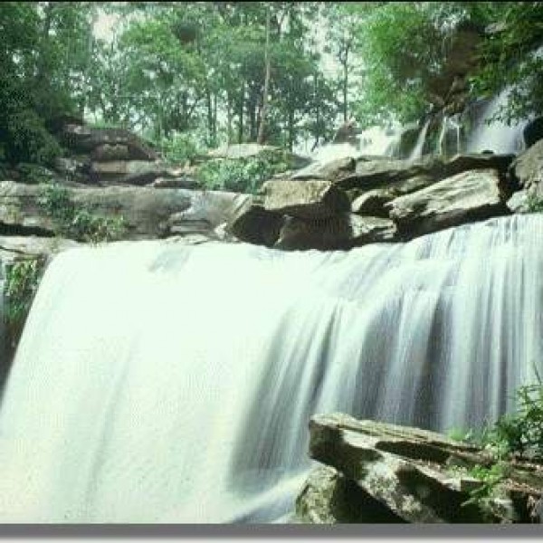 วนอุทยานน้ำตกธารงาม