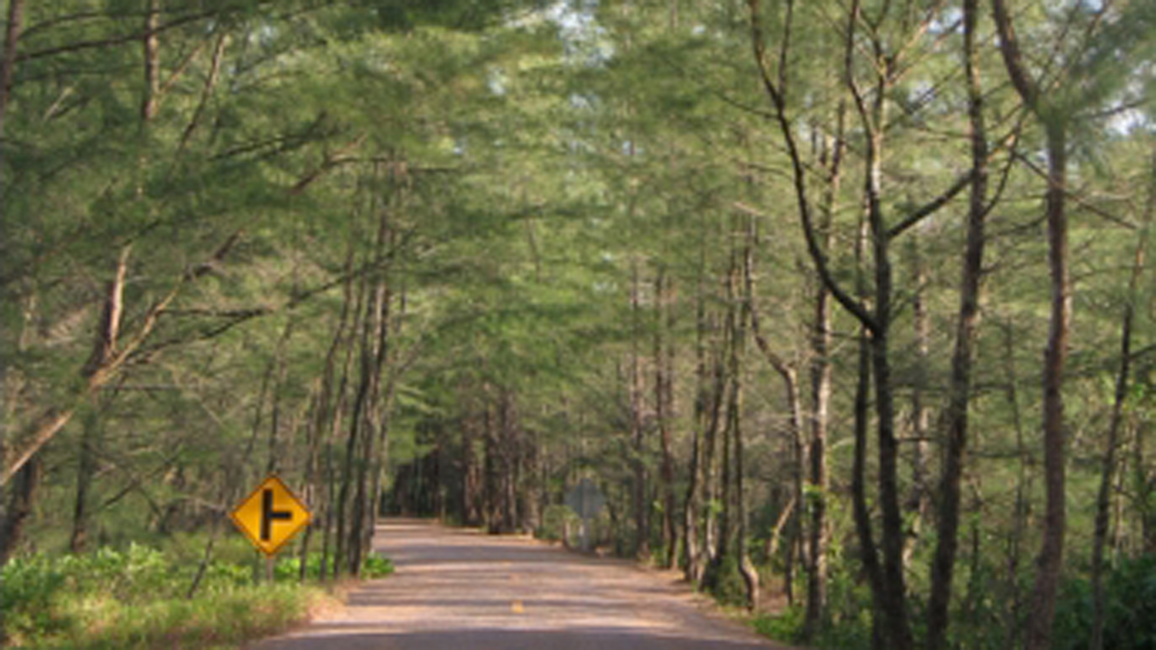 หนองใหญ่