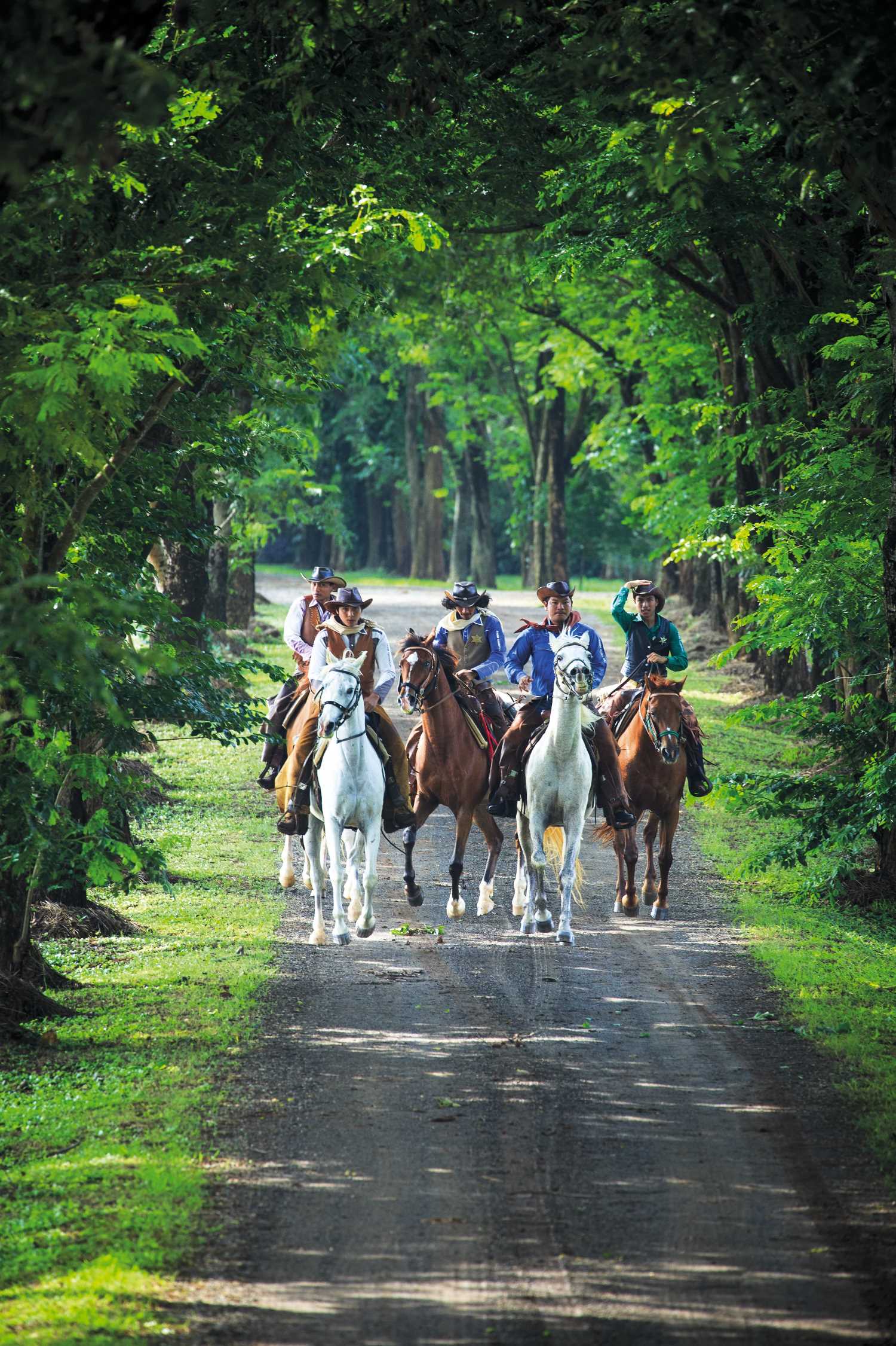 ฟาร์มโชคชัย