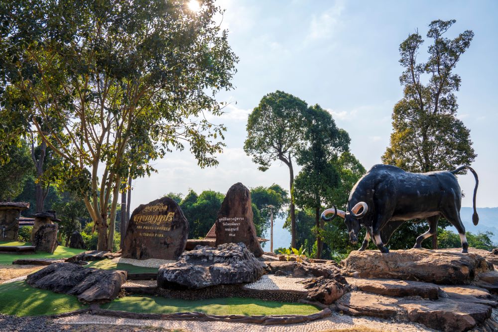 จุดชมวิวผาพญากูปรี